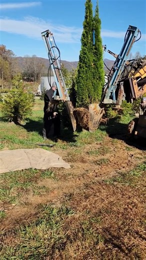 Buffie the Body | I took a road trip to a tree farm. I learned a lot about the process of preparing trees for sale. I never seen a tractor like this before.... | Instagram