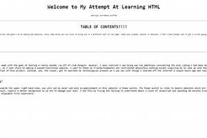 A Learning Experience