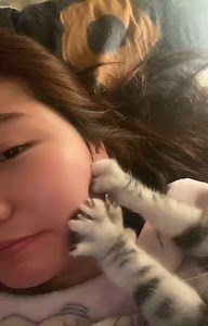 Lovely Cat Online on Instagram: "🎥 from @麻同学不加糖 - DY #lovelycatonline . . . #catloversclub #catsofinstagram #ilovemycat #instagramcats #nature #catoftheday #lovecats #furry #lovekittens #adorable #catlover #instacat #thedailykitten #cat #cats #catsagram #catstagram #instagood #kitten #kitty #kittens #pet #pets #animal #animals #petstagram #petsagram #photooftheday #lovecats"