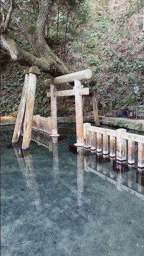 【Vlog】鹿島神宮【観光】japan travel vlog #茨城 #鹿嶋市 #神社 #食べ歩き