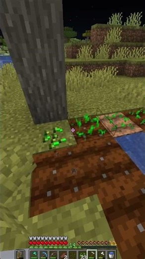 I Only Get 1 Hour To Survive In Minecraft...