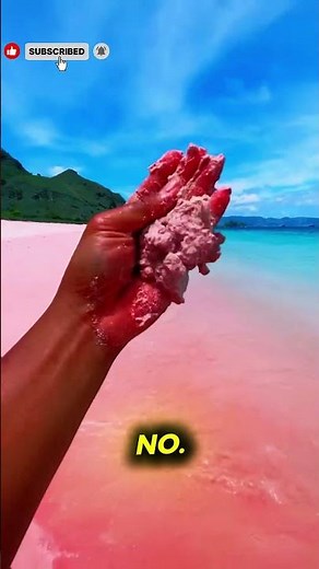 5 Breathtaking Beaches You Must Visit