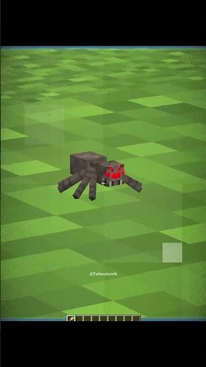 Minecraft Real Life Minecraft Mobs Moment