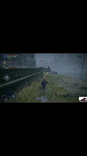 That's not how you play the game. #nightreign #eldenringmemes