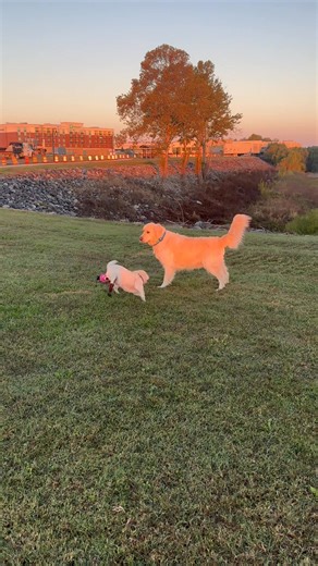 4.5K views · 169 reactions | Sulley Does The Loop on Reels | Facebook