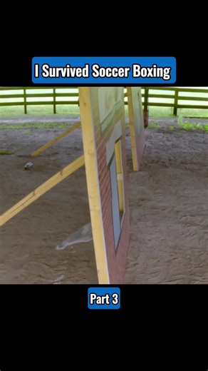 #gym#fitness#muscle #bodybuilder#challenge