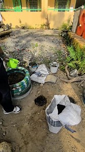 17 reactions · 3 comments | Magtanim tayo ng (utong) sitaw Simpleng paraan lang ng pagtatanim sana tumubo @highlight Gardening for food in the Philippines #gardening #gardeningtips #gulayansabakuran #friday | Rubilyn G. Boado | Facebook