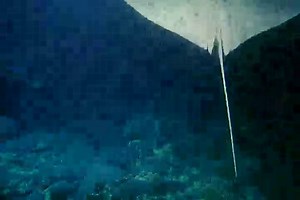 Watch Deep Sea 3D trailer on Amazon Live