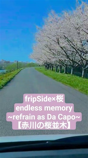 【fripSide×桜】endless memory ~refrain as Da Capo~ × 山形県鶴岡市 赤川の桜並木② #fripSide #桜ソング #桜 #桜並木 #山形県鶴岡市