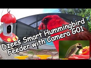 Dzees Smart Hummingbird Feeder with Camera G01: Unboxing, Setup, Install & Review