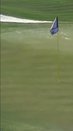 2025 Waste Management Phoenix Open Hole In One #golf #golfswing