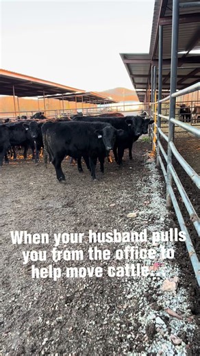 Life as a Farm Wife: Daily Challenges and Rewards