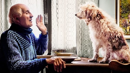 BBC Four - Storyville, The Truffle Hunters