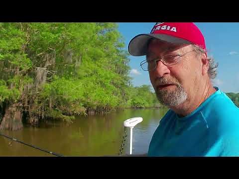 Bream Fishing the Altamaha River