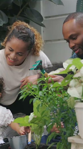 Build Your Greenhouse: Easy Step-by-Step Guide