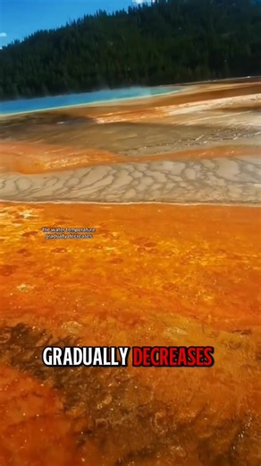 🌈💦 The Grand Prismatic Spring — the world’s largest hot spring bursting with unreal rainbow colors. Nature’s masterpiece! ✨ #GrandPrismaticSpring #Yellowstone #NatureWonder #RainbowSpring #EarthMagic #TravelGoals | Royce Inyang