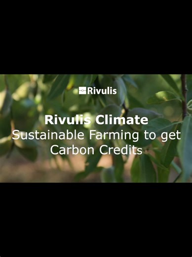 Discover how the Rivulis Climate Program helps farmers: ✅ Reduce emissions ✅ Enhance biodiversity ✅ Earn income through carbon credits #rivulis #RivulisClimate #SustainableFarming #CarbonCredits #ClimateAction #farminginnovation #carbonemmission
