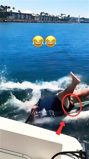 Epic Fail Funny Video Competition #funny #shortvideos #fails #comedyvideos #happy #cute