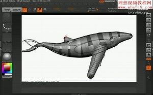 中文字幕ZBrush鲸鱼制作视频教程 无声音 共18讲01制作ZSphere模型