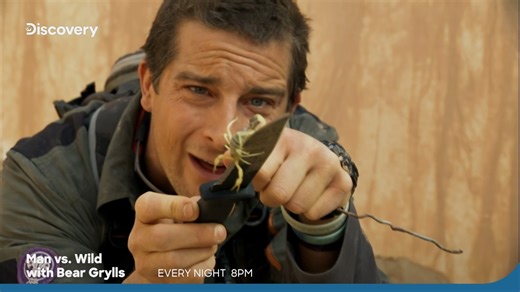 49K views · 640 reactions | Survival isn’t a choice - it’s the only way! ️ Watch Man vs. Wild with Bear Grylls, every night at 8 PM on Discovery Channel India #DiscoveryChannelIn #DiscoveryChannelIndia #DiscoveryChannel #Discovery #BearGrylls #Survival #Adventure #ManVsWild | Discovery Channel India | Facebook