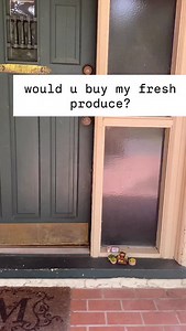 pesticide free, choc fulla bug | Toby Toad