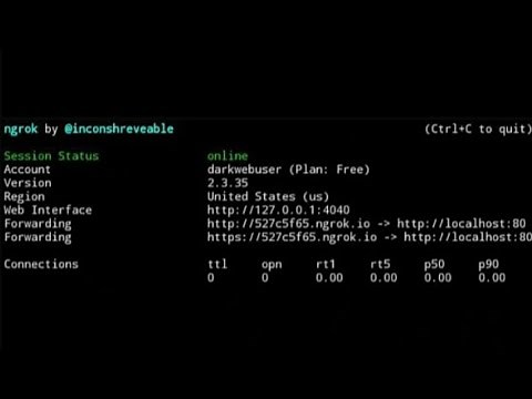 [2020] Ngrok reconnecting error solved !