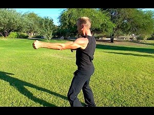 Explosive Chen Tai Chi Power Move!