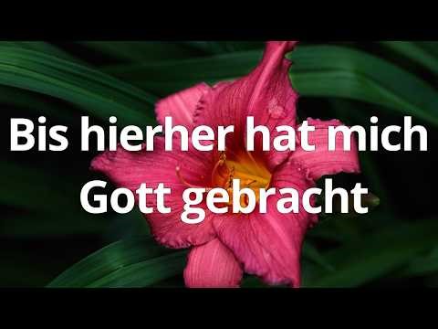 Bis hierher hat mich Gott gebracht (EG329) - zum Mitsingen mit Text