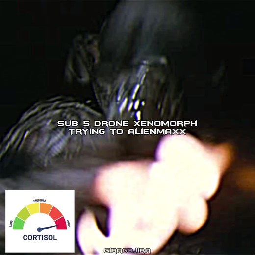 Amor hacia el viejo drone xenomorfo