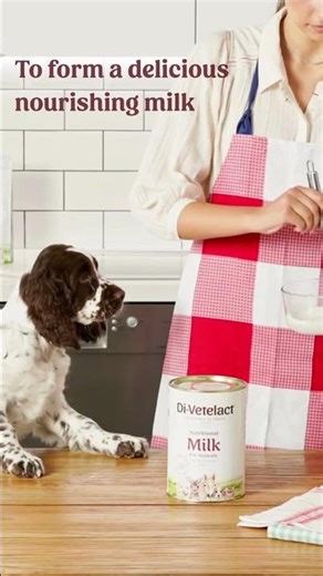 Love Looks Like This 🐾