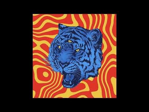 (free) STEVE LACY + OUTKAST TYPE BEAT - "MEOW"