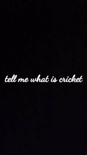 what is cricket ?
