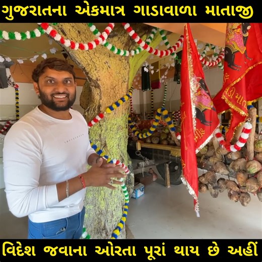 ગુજરાતના એકમાત્ર ગાડાવાળા માતાજી જ્યાં વિદેશ જવાના ઓરતા માતાજી પૂરા કરે છે.લીલા નાળિયેર ચઢાવવાની અહીં માન્યતા છે gadawala mataji tour || ahmedabad to mahesana || garv chhe gujarati chhu #garvchhegujaratichhu #mahesana #ahmedabad #gujarat #tourism | Garv Che Gujarati Chhu