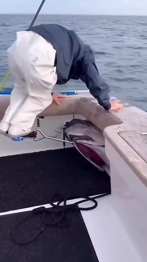 6.8K views · 16 reactions | #highlights2025 #trendingreelsvideo | Johnny Castanaday | Facebook