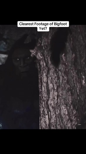 Clearest Bigfoot Footage Caught on Camera in Colorado