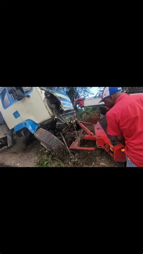 Towing Insights: Everyday Spur Tree Uses in Jamaica