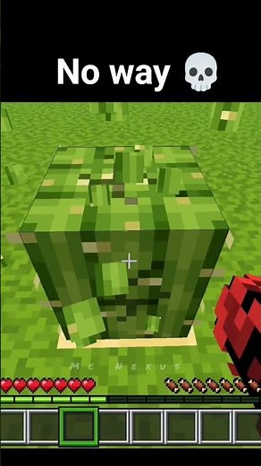 minecraft cazy moment...