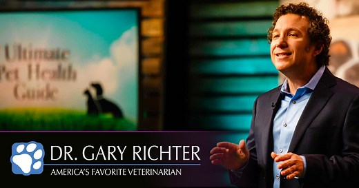 About Dr. Gary Richter – Dr. Gary Richter