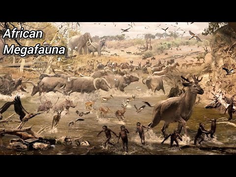 AFRICAN MEGAFAUNA | Pleistocene Giants
