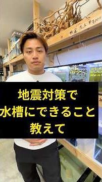 【防災×アクアリウム】水槽を地震から守る！魚と水槽の安全を確保する震災対策3選⚠️今すぐできる被害軽減テクニック #防災対策 #アクアリウム