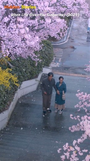 Even Real Fans Didn’t Know This: When Life Gives You Tangerines - 7