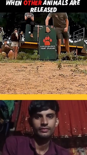 warning: don't drink water while watching | iconic education