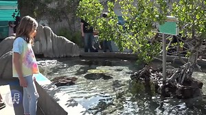 6.1K views · 117 reactions | Aquarium of the Pacific Takes Steps to Fully Reopen Safely | Long Beach Local News | Facebook