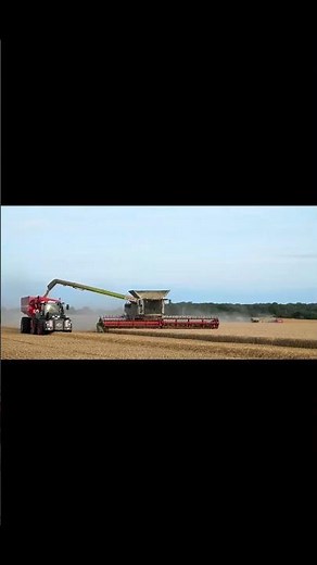 Modern Wheat Harvesting Technology | 10 Combine Harvesters Working Together in Massive Farm Fields