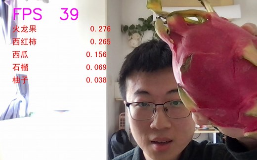 Pytorch图像分类模型部署-ONNX Runtime本地终端推理
