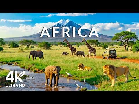 Animals of Africa 4K - Scenic Relaxation Film With Calming Music