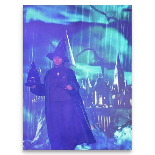 Ruhii Fatimaa | Swipe ➡️ Harry Potter fashion show 2020 Aurum 2020 Presented by @dr.ruhifatima10 special thanks to @mansi_008 1. Professer Minerva... | Instagram