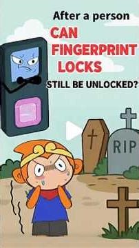 Is Your Fingerprint Lock Actually A Useless Toy?