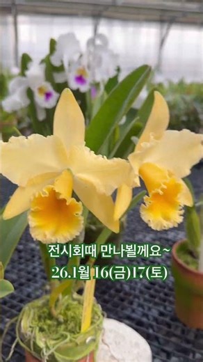 전시회때 만나뵐께요~#억불난농원