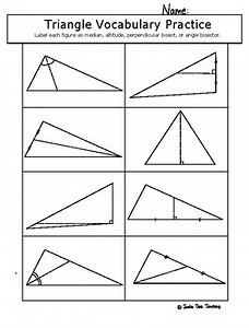 Triangle Vocabulary Geometry Worksheet - Median, Altitude, etc.